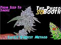 The photo booth s8 ep 13  from seed to smoke   full harvest  easiest harvest method imo