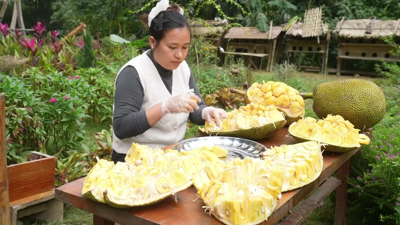 Delicious Dishes Made from Local Jackfruit – A Hometown Specialty Everyone Loves!
