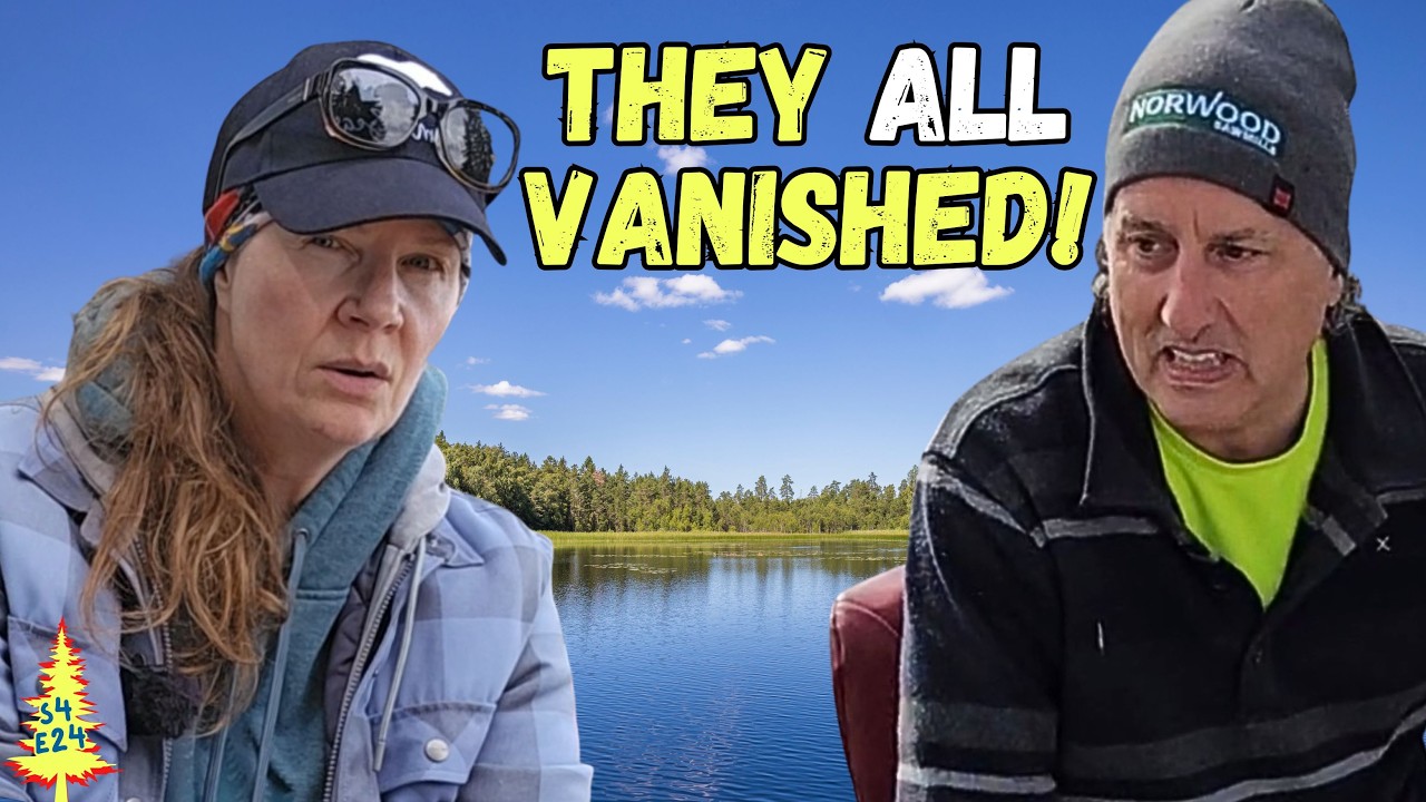 We Waited All Year for This… and It Was Gone | Off Grid Life - YouTube