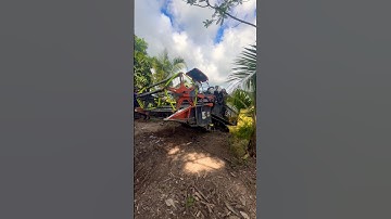 Máy cắt lúa miền Tây Yanmar 820 de xuống dốc 🌾🌾👍👍👍