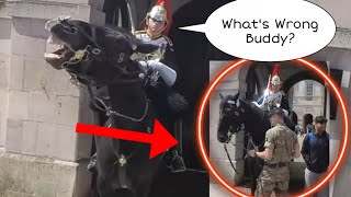 Guard saw something wrong with Horse, he immediately asked the Trooper for HELP!