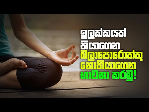 ඉලක්කයක් තියාගෙන, බලාපොරොත්තු නොතියාගෙන භාවනා කරමු !