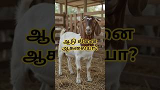 ஆடு சினை ஆகலையா? இந்த 1 வழி போதும் | Goat Breeding Tip