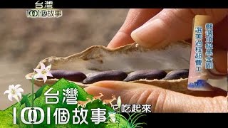 吳家花生農大軍創雲林黑金傳奇part3【台灣1001個故事】 