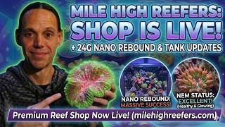 Finally! Opening the Mile High Reefers Shop + Tank Updates Reef Vlog"
