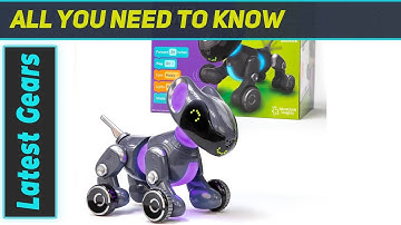 Educational Insights Pyxel: The Ultimate Coding Companion