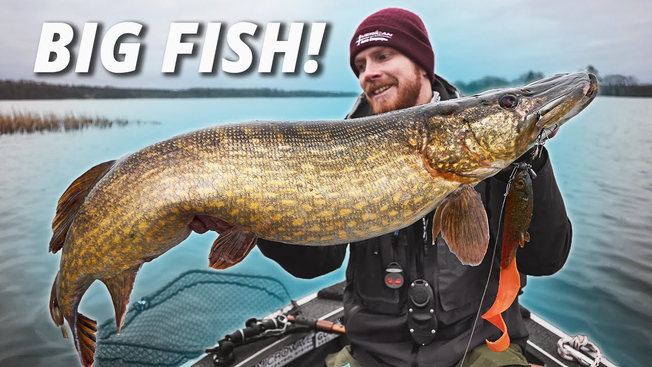 Catching Big Pike On Handmade Rubber Lures! (With High5Lures) YouTube