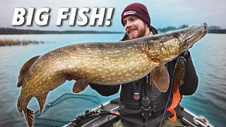 Catching Big Pike On Handmade Rubber Lures! (With High5Lures)