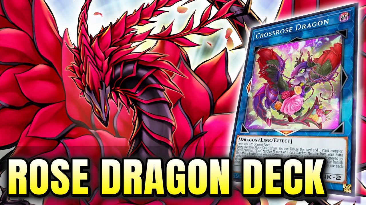 yugioh duel links rose dragon deck Dragon/Plant Synchro November 2025 | Dueling Nexus Yu-Gi-Oh! DUEL LINKS BLAZING ROSE