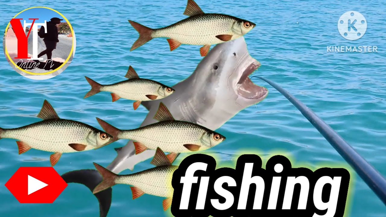 Fishing  | Big fishing