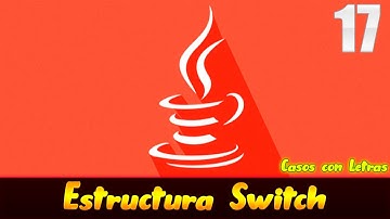 17- Estructura Switch (Casos con Letras) en Java