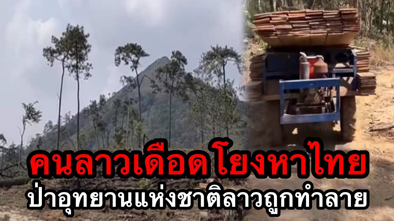 คนลาวเดือดโยงหาไทย หลังป่าในเขตอุทยานแห่งชาติลาวถูกทำลาย
