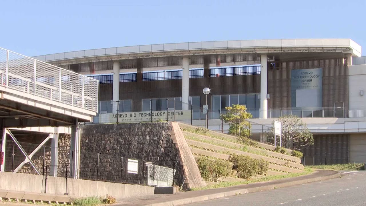 当時のメディア報道・掲載写真