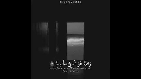 سورة فاطر الآية(15-16-17)