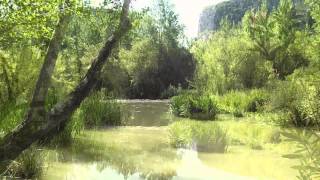 The River - Contemplation Relaxation Nature Creation