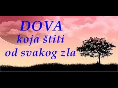 Video: Koja je zaštita od vjetra najbolja?