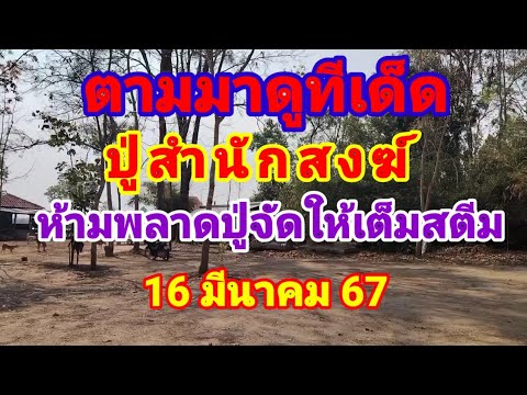 ตามต่อเลขเด็ดปู่สำนักสงฆ์ห้ามพลาด16 มีนาคม 67