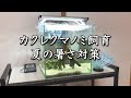 【水槽の暑さ対策】カクレクマノミ飼育/我が家の暑さ対策と最近の様子
