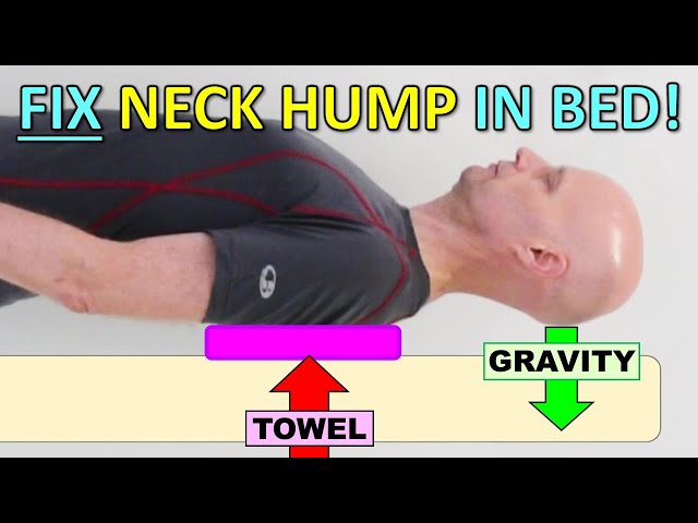 Posture Pillow Hump Back Corrector Sleep Corrects Neck And Back