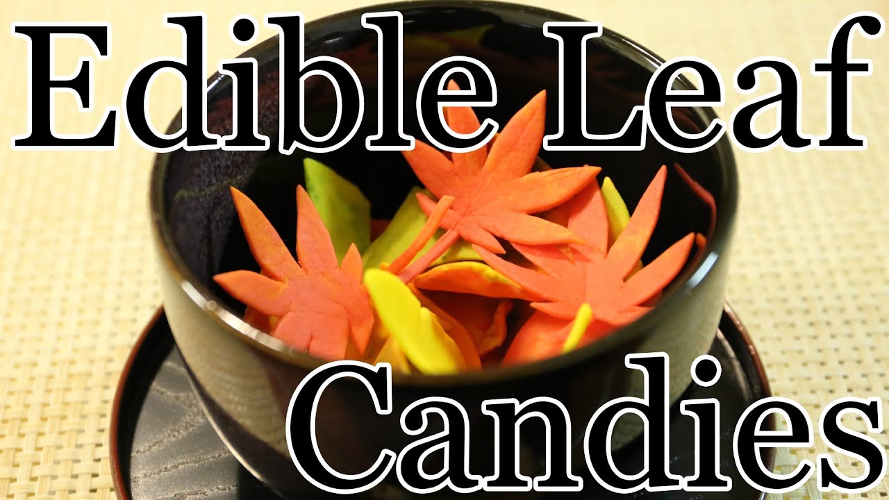 Wagashi Edible Leaf Candies 和菓子 紅葉 YouTube