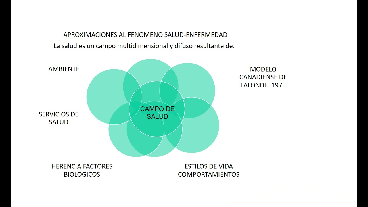 Nociones del Proceso Salud Enfermedad - YouTube