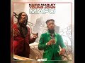 Naira Marley x Young Jonn – Mafo (Official Audio) | Afro Hits