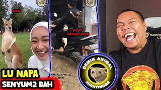 KETIKA BINATANG BISA NGOMONG WKWKWK - Reaction Demik Animal