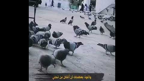 من اذكار الصباح #