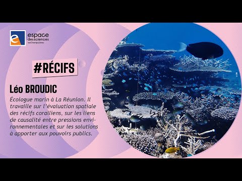 🪸 [Léo Broudic] Les récifs coralliens sous surveillance