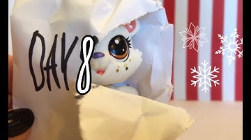 Lps Advent Calendar Day #8 ~ Surprise Pet