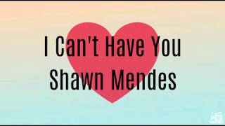 I Can't Have You - Shawn Mendes | Official Lyrics Video