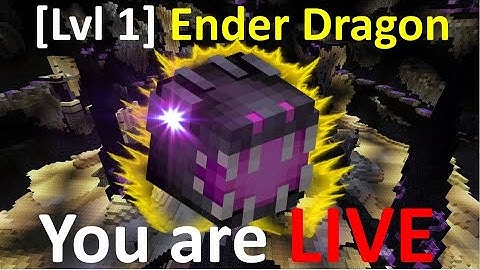 Streamer Luck at Maximum Level (Hypixel Skyblock)