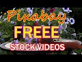 Pixabay royalty frees for youtube 4k  pixbay best tops  pixabays 