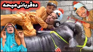Ght Akhtar Qurbani Eid 2021|| Pashto Funny Video By Tuti Gull Vines