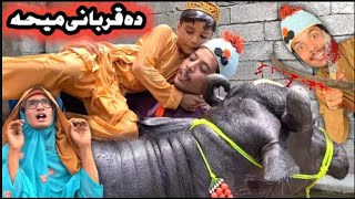 Ght Akhtar Qurbani Eid 2021|| Pashto Funny Video  By Tuti Gull Vines