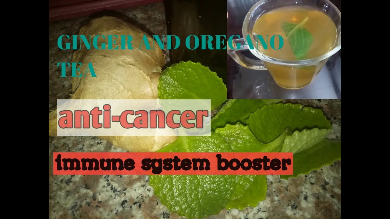 DIY ginger and oregano tea /Anticancer and immune system booster tea