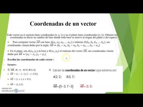 Vídeo: Com Trobar Les Coordenades Del Final D’un Vector