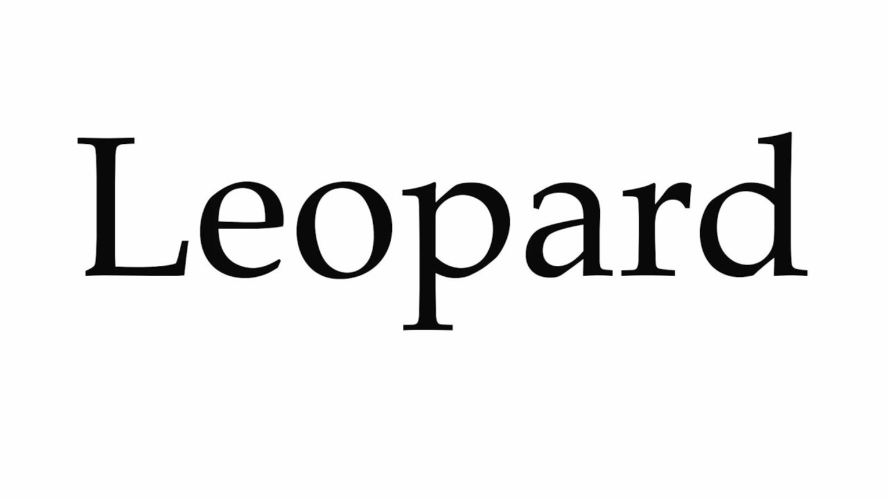 How to Pronounce Leopard - YouTube
