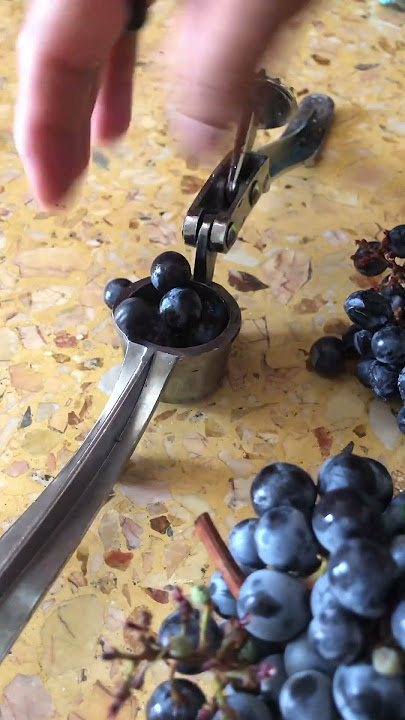 Satisfying#blackcurrant#shortvideoviral #doyoulike