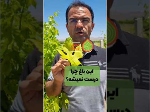 این باغ چرا درست نمیشه