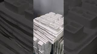 Blister Packs Die Cut