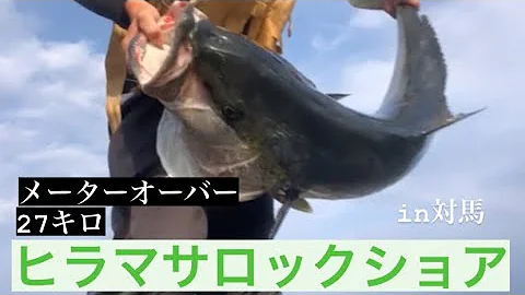 ヒラマサ Mp3