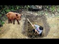 Trapping Wild Boars and Harvesting Rare Stone Snails, Survival