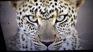 Philips Bdm4350Uc Viewing Angles