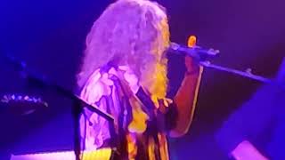 First World Problems (Weird Al Live! October 7, 2022, Shreveport, LA)