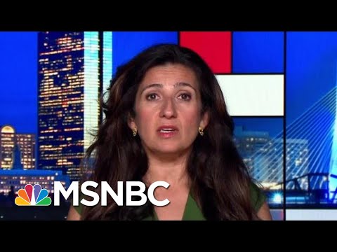 Trump Sparks Panic, Chaos Targeting Ailing Immigrant Children | Rachel Maddow | MSNBC
