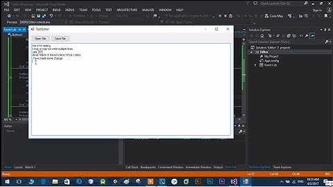 Text Editor Using VB.net