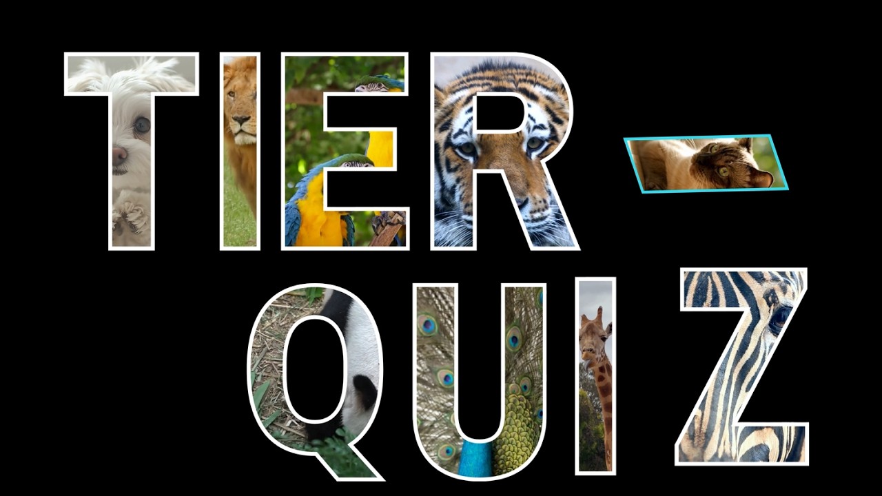 Tierquiz schwer - 25 Fragen auf Deutsch | Teste dein Wissen über Tiere