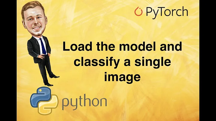 [7] Load the model and classify a single image in PyTorch