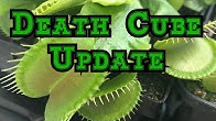 Brads Greenhouse & Gardening